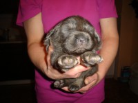 /album/ason/a2650-g-jpg1/